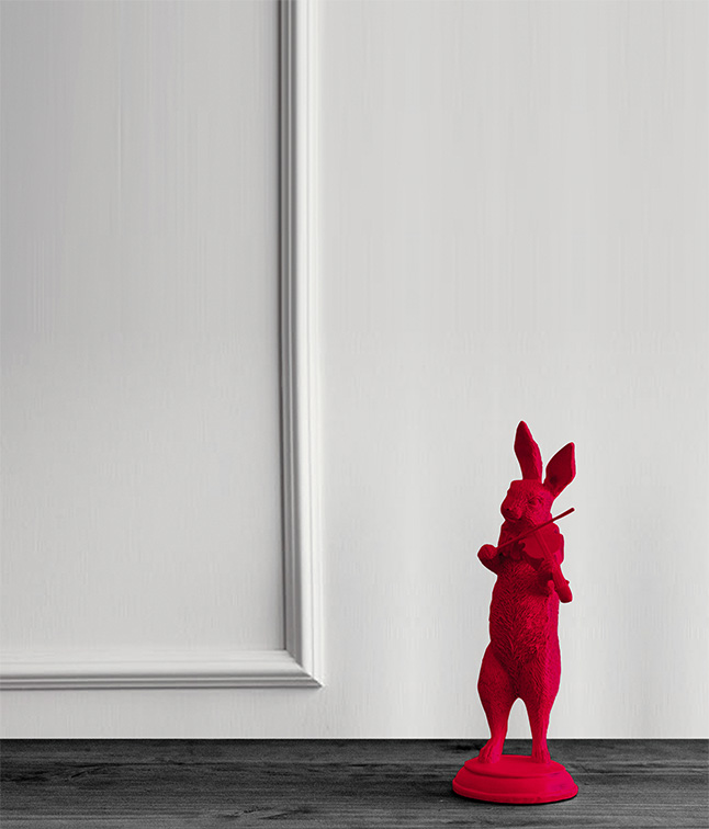 Rabbit